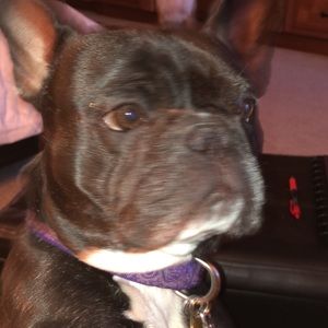 Meet your Posher, Beth